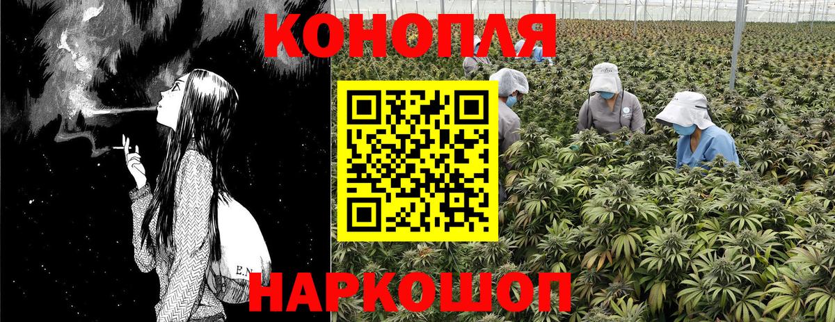 Бошки Шишки сатива Салехард