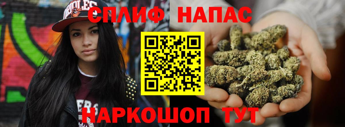 Бошки марихуана план  Марихуана планчик  Салехард  Вход с VPN 